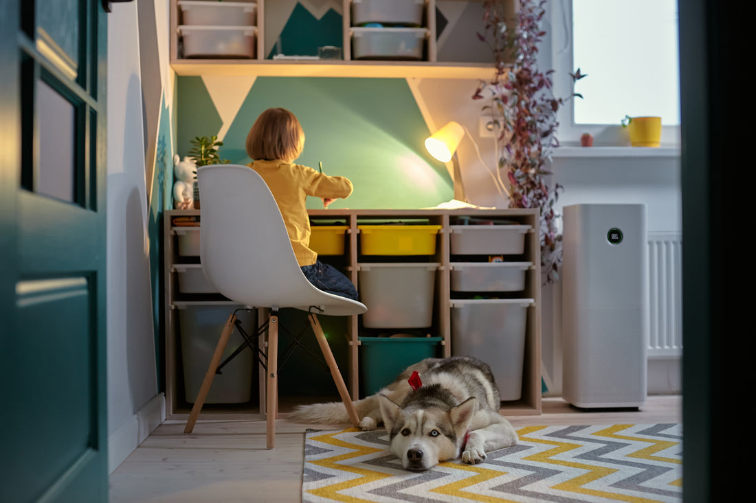 What is the Best Home Air Purifier?
