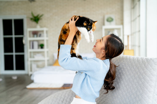 The Benefits of Using an A/C Air Purifier
