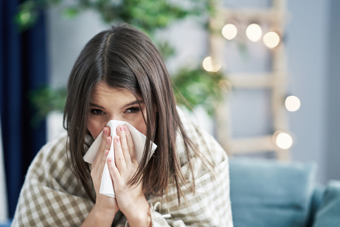 What Air Purifier is Best for Allergies?