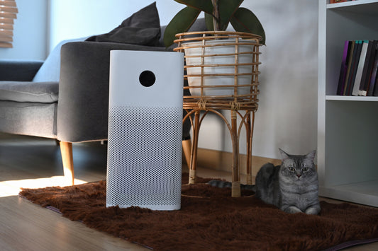 Do Air Purifiers Work?