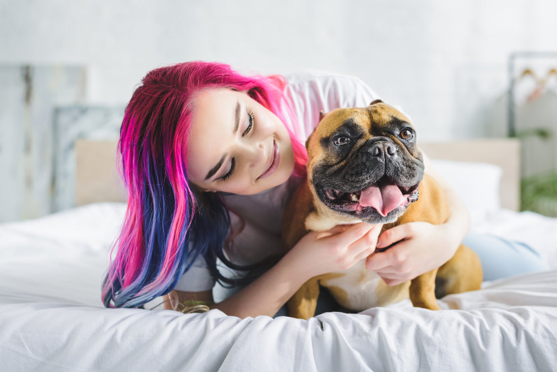 Is Levoit Air Purifier Good?