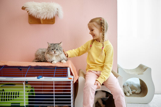 How to Test the Air in Your Home
