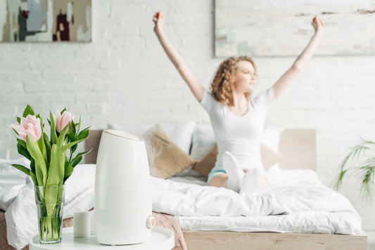 What is a HEPA Air Purifier?
