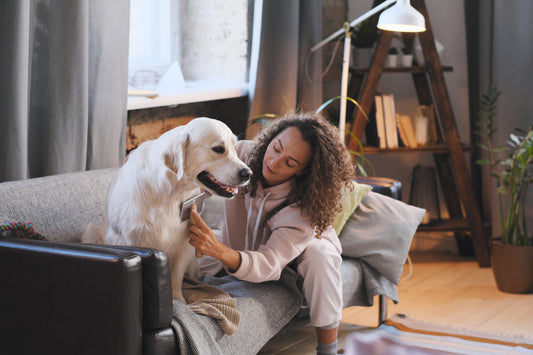 What is the Best Air Cleaner?