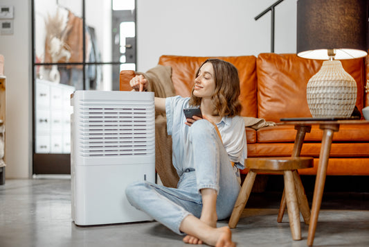 What's an Air Purifier?