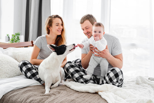 5 Benefits of Having Clean Indoor Air