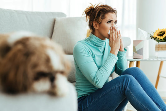 Which MERV Rated Air Filter is Best for Pet Dander?