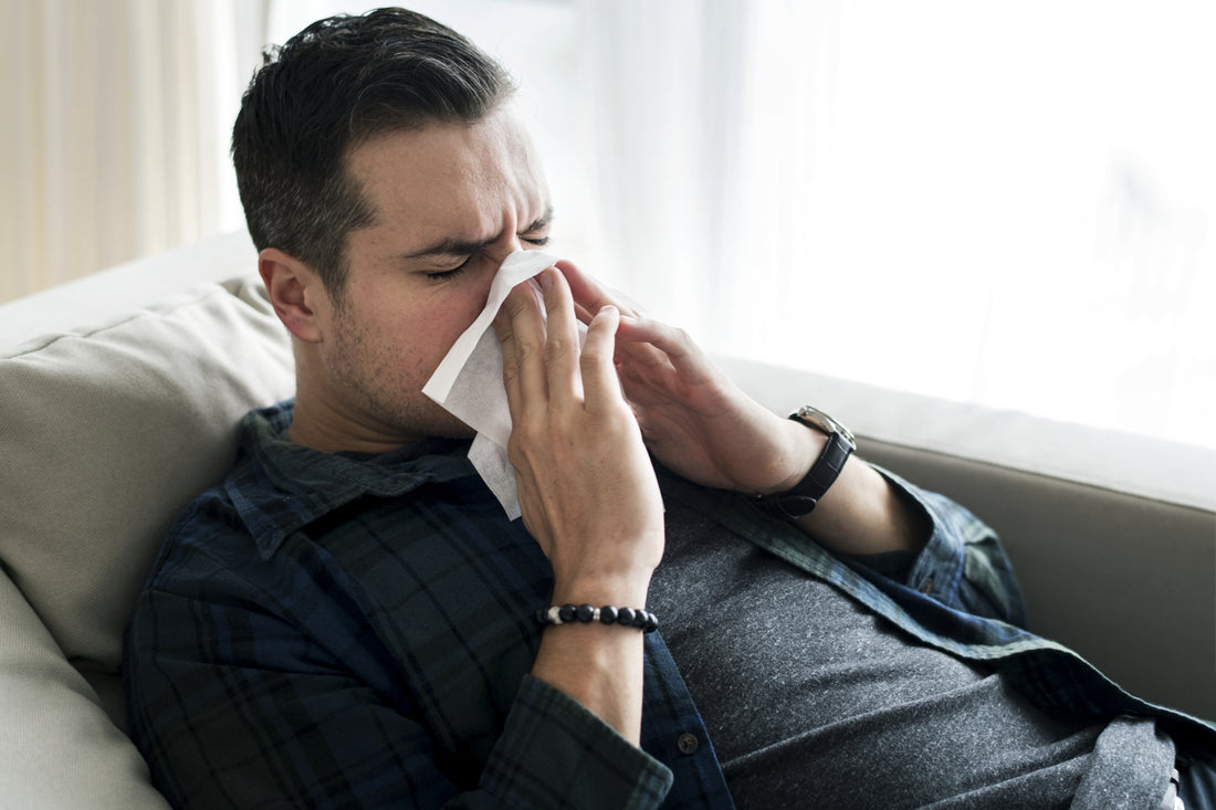 How do Air Filters Protect You from Allergies?