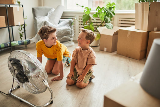 Is an Air Purifier a Fan?